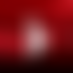 MERCOSUL E OS AFETOS: 
MOEDA COMUM NÃO É MOEDA EXCLUSIVA.