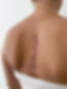 spinetattoo.jpg