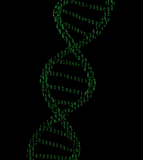 ddb80b0c-c1a1-46f9-8774-12d3ea58c3a6_edi