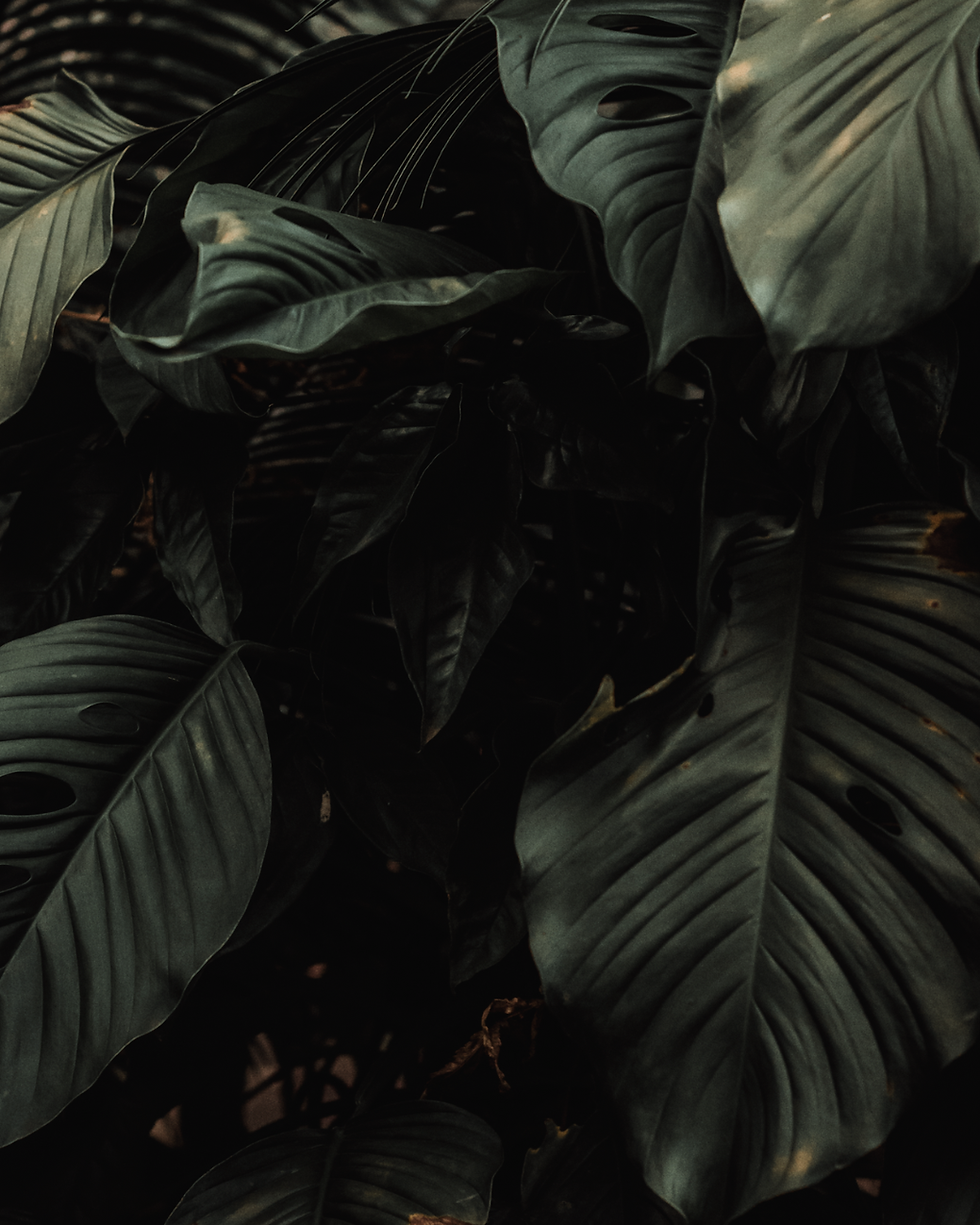 Design ohne Titel-2.png