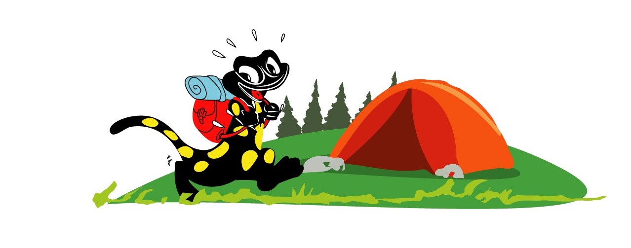 Camping Le Canada - Main photo