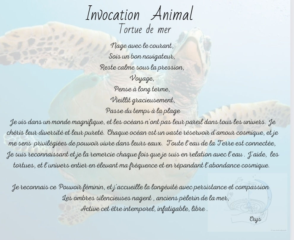 Meditation Guidée  Soin Esprit Animal TORTUE