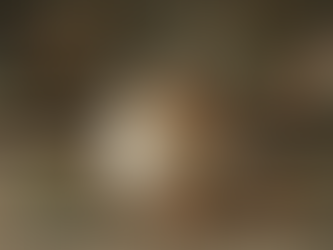 Livraison Miel de Terroir : Le Goût Authentique Directement Chez Toi