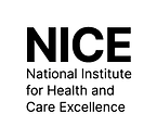 NICE logo