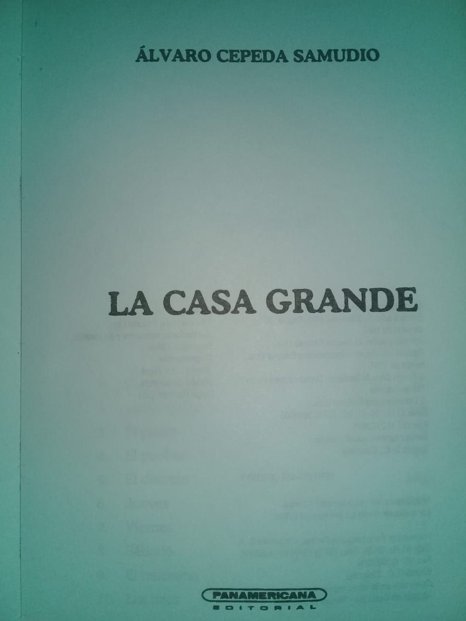 Miniatura: La casa grande