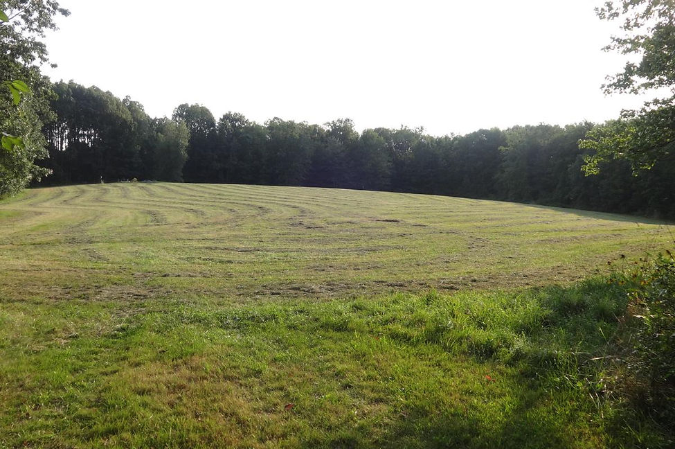 sofinowski_field.jpg
