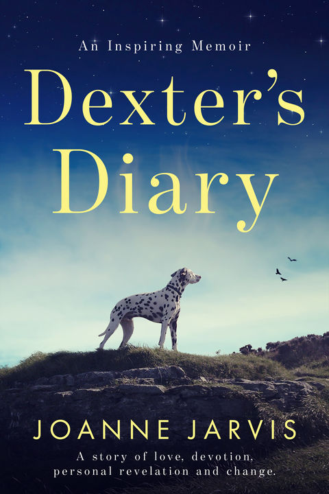 dexters diary Ebook cover.jpg