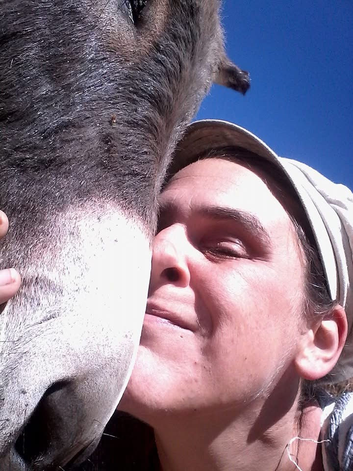 woman and donkey