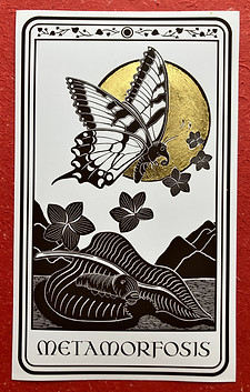illustrated card with a butterfly in front of a golden sun and the words "metamorphosis" under the image