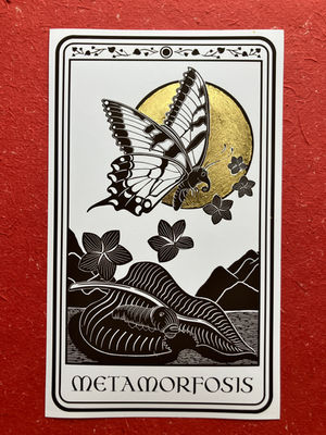 Caterpillar and butterfly in landscape