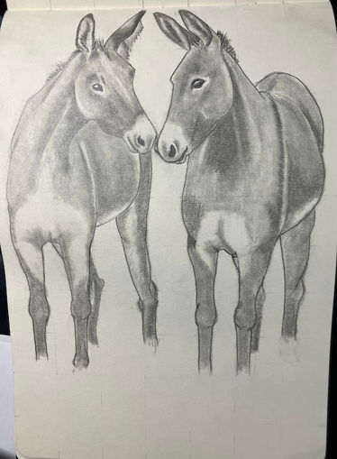 two donkeys sniffing each other