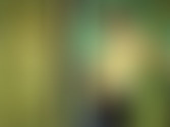 Merz b. Schwanen T-Shirt Image