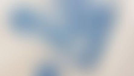 Merz B Schwanen Swan Image