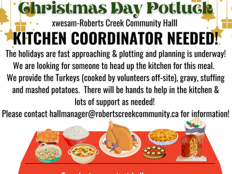 Christmas Day Potluck Kitchen Coordinator