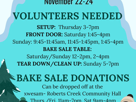 Craft Fair Volunteers & baking donations!