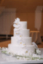 Phalaenopsis Orchid Cake