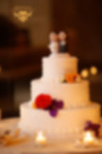 Brightly colored cake blooms