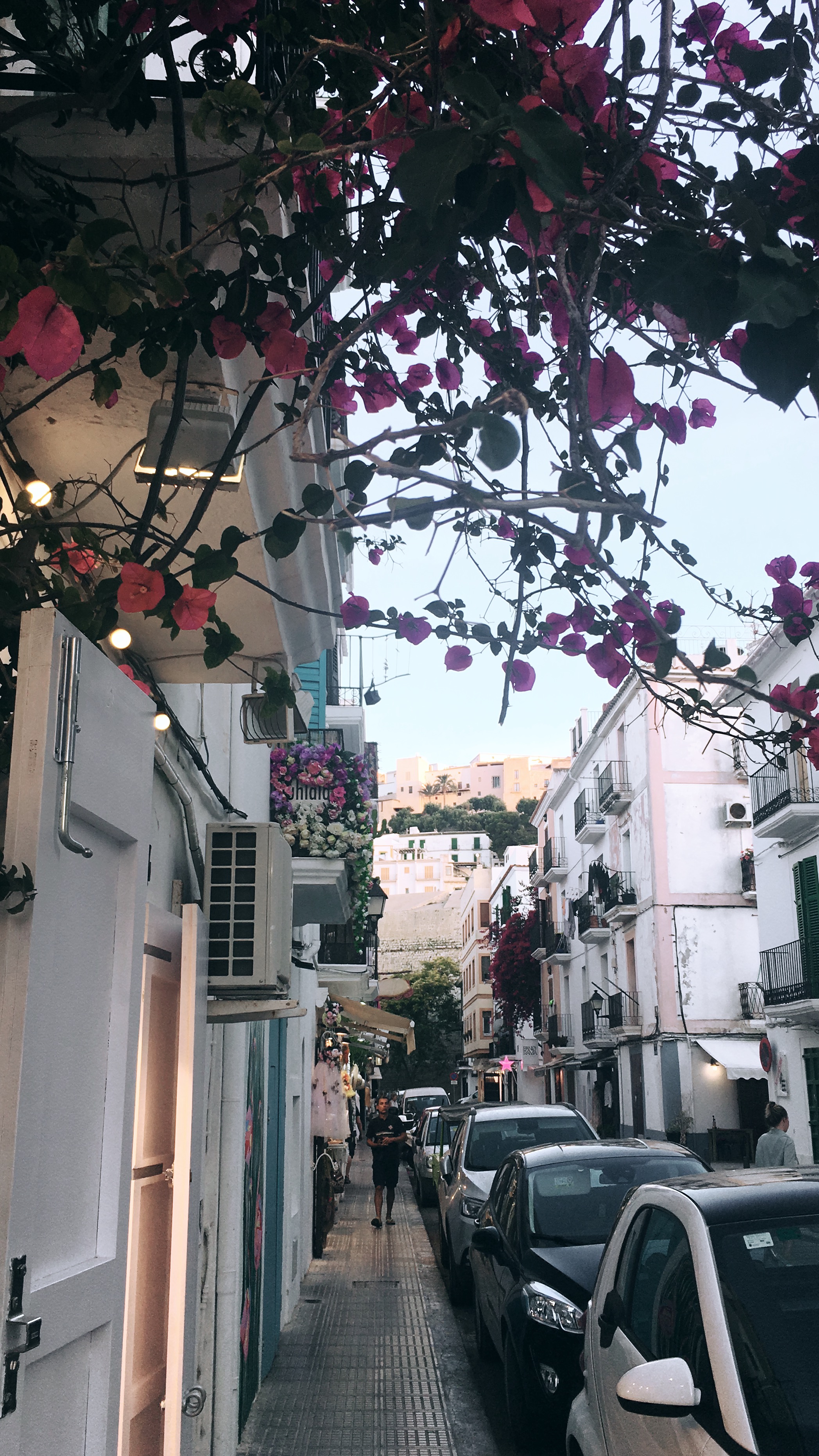 IBIZA Way of Life
