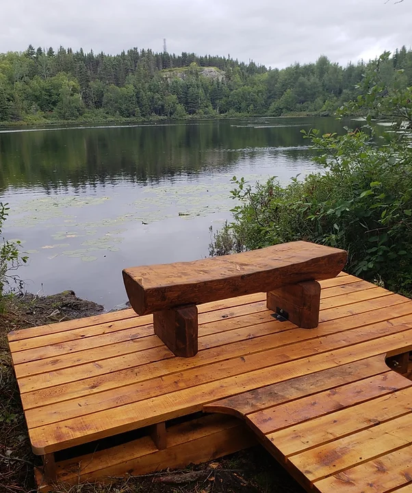 aménagement de structure de bois en forêt au bord d'un sentier