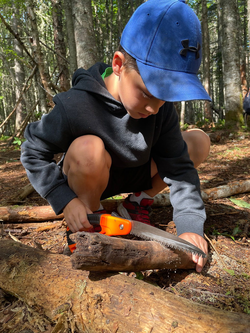 Éducation par la nature Prise de risque Enraciné