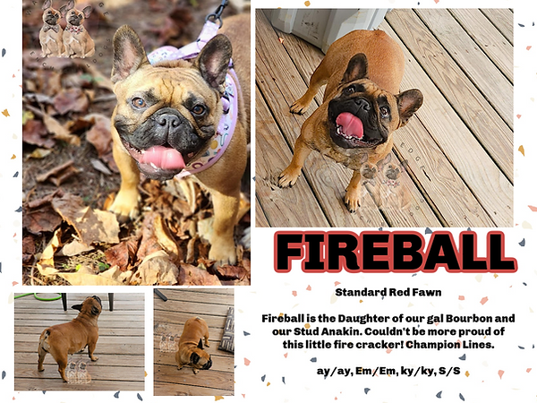 Facebook Shop (2).png