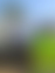 26/09/2025 - Giving the Gift of Water in Gaza: A Lifeline of Hope