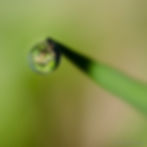 Simplon_juin 2016-23