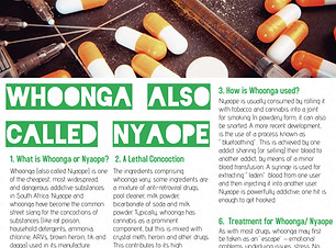 HOW TO TAKE CARE OF PETS_edited.jpg