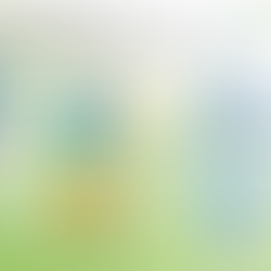 The human endocannabinoid system