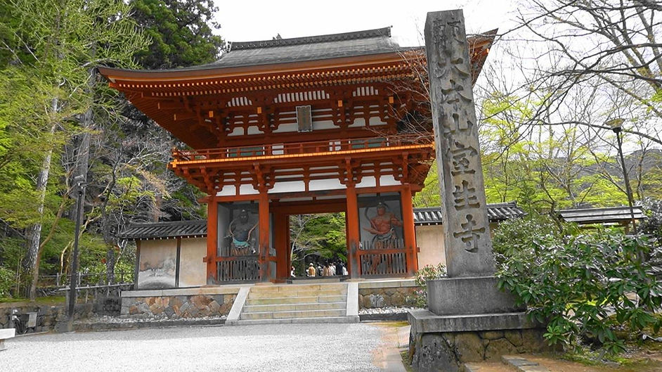 デジタルミュージアム大野寺・室生寺の石仏.pptx (4).jpg