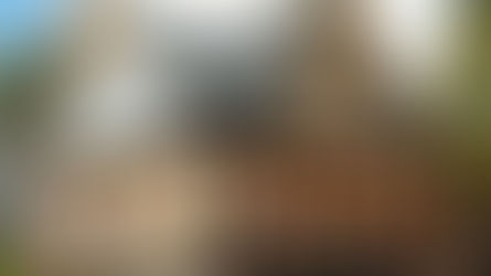 Your Guide to Craftsman Home Plans