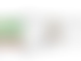 Self Storage - A Unique Suburban Infill Product