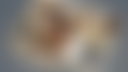 A Homeowner's Guide to Split Bedroom Floor Plans