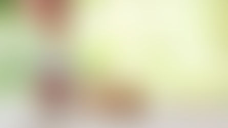 Building a Home on a Budget: Tips for Affordable Construction