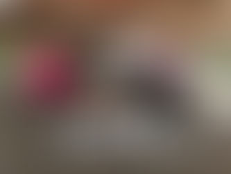 Eisstock abre temporada com torneio de duplas