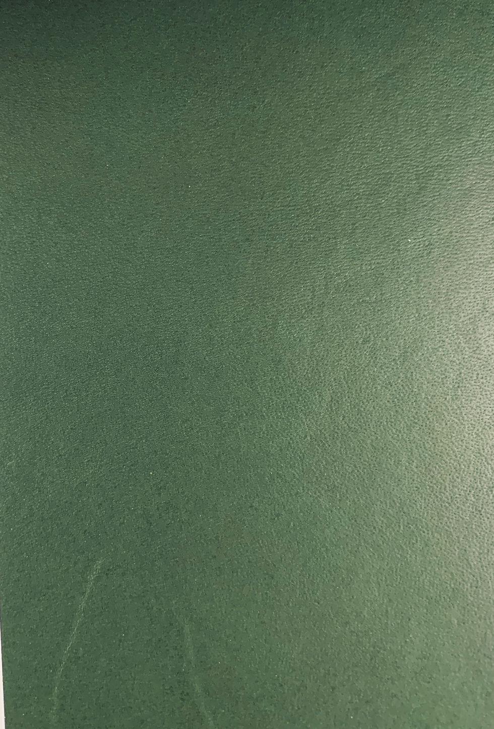 Thumbnail: BOWDEN SIDE IN FOREST 2 - 2.2mm