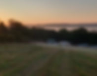 CFGS Teacher image_edited.jpg