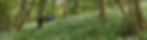 Bioasis business header image.jpg