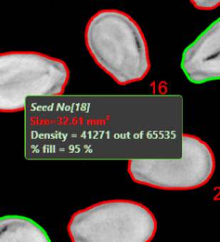 seed 1.png