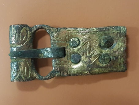 On the Fleece of a Sheep