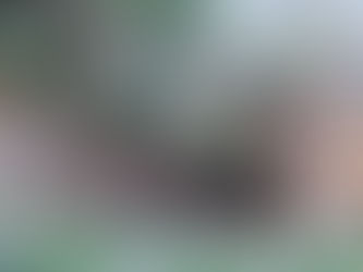 On a Preference for Graceful Decay