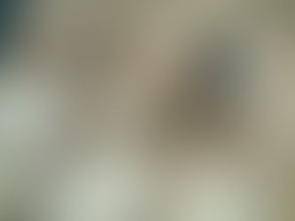 On Changing the Past