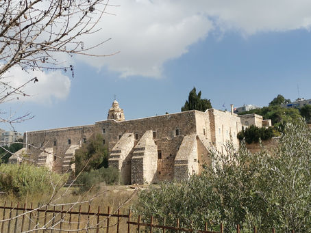 On Commemorating a Remarkable Tree