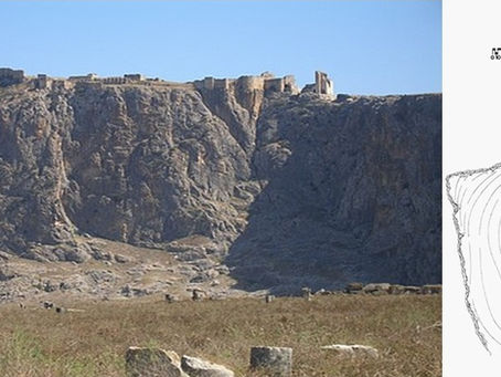 On Fear, Imitation and Adaptability