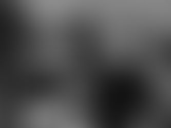 On the Difficult Art of Mediation