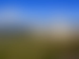 On Crac of the Hospitallers