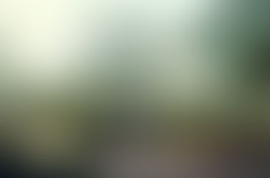 Protected Cropping - Australia Today