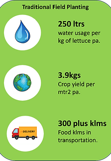 Traditional Planting_edited.png