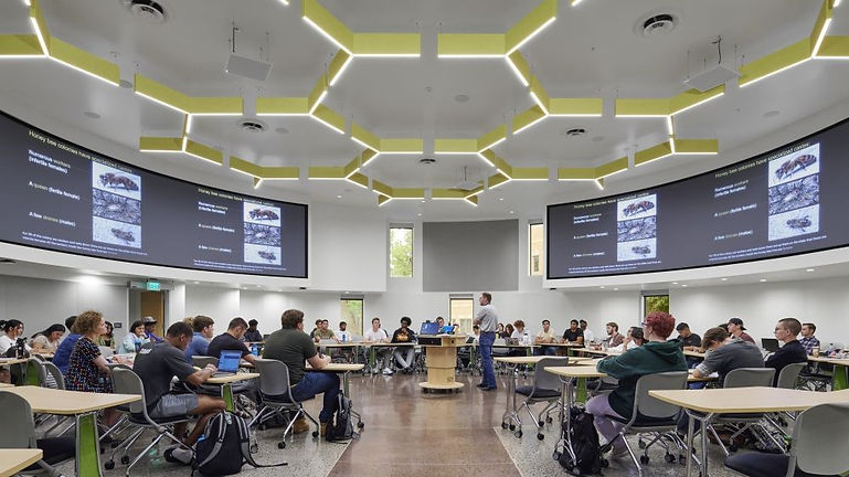 classroom picture 2.jpg