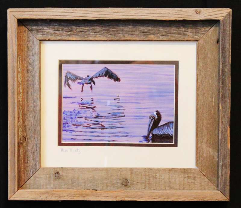 PelicanTakeoff-$125